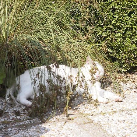 B&B Landgoed Rijckholt Geersdijk Екстер'єр фото
