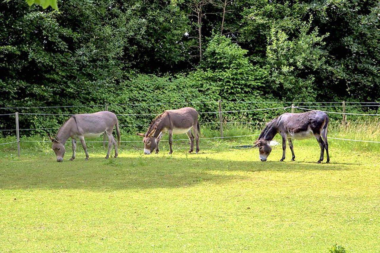 B&B Landgoed Rijckholt Geersdijk Екстер'єр фото