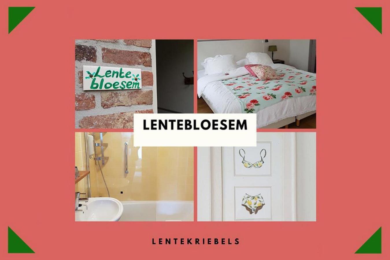 B&B Landgoed Rijckholt Geersdijk Номер фото